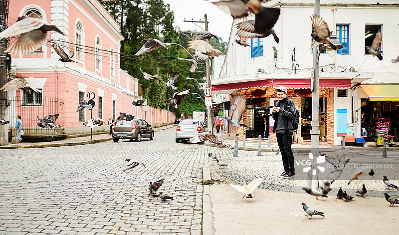 在鸟群中等待出租车图片素材