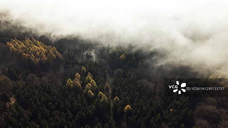 陶努斯山秋季森林区的雾和阳光航拍图片素材