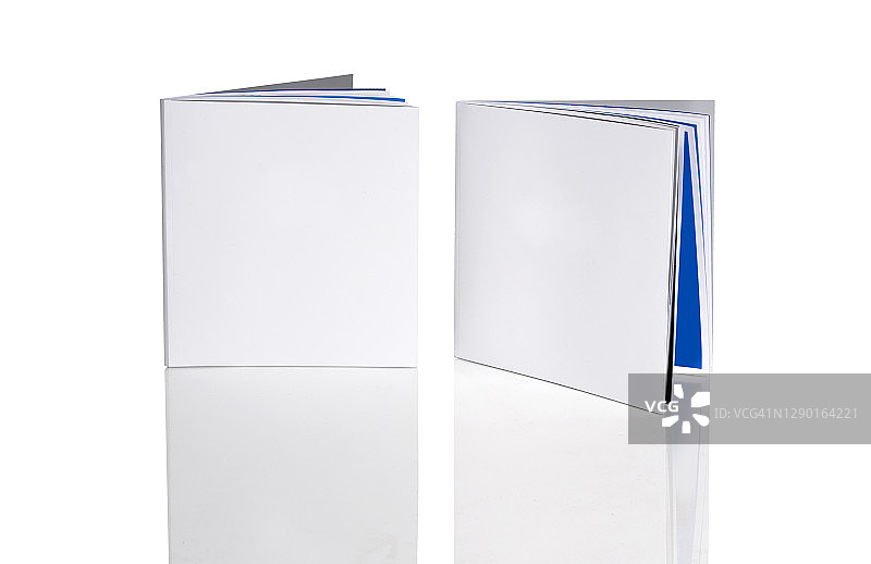 两本空白封面书样机图片素材