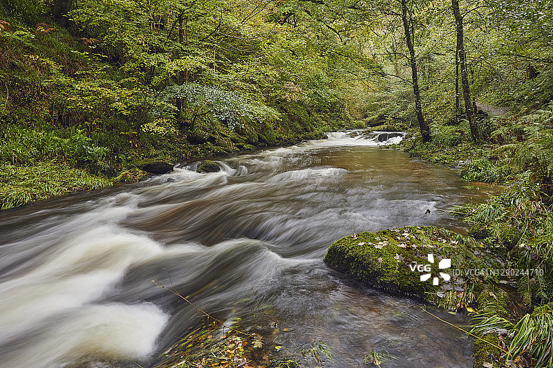 深谷中古老林地的秋季河流图片素材