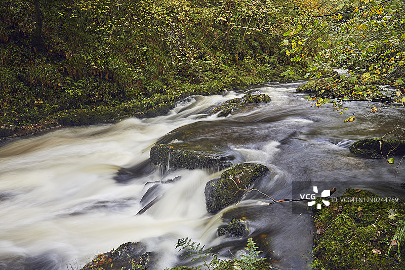 深谷中古老林地的秋季河流图片素材