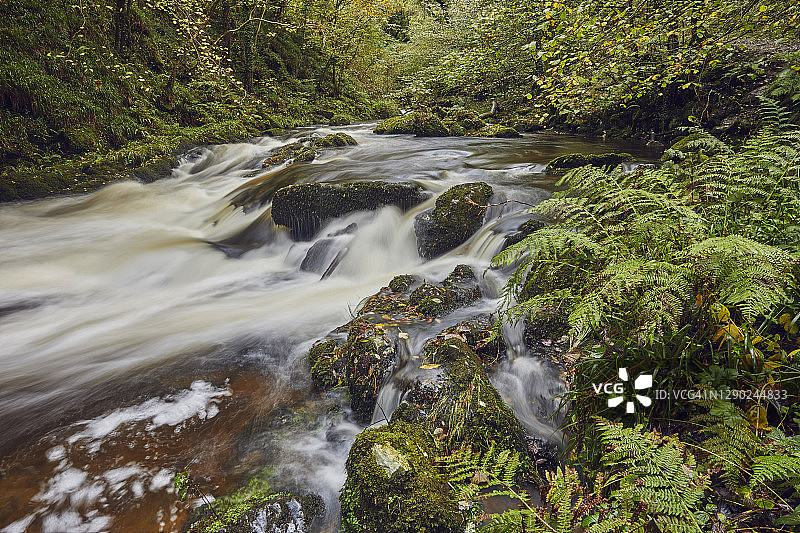 深谷中古老林地的秋季河流图片素材