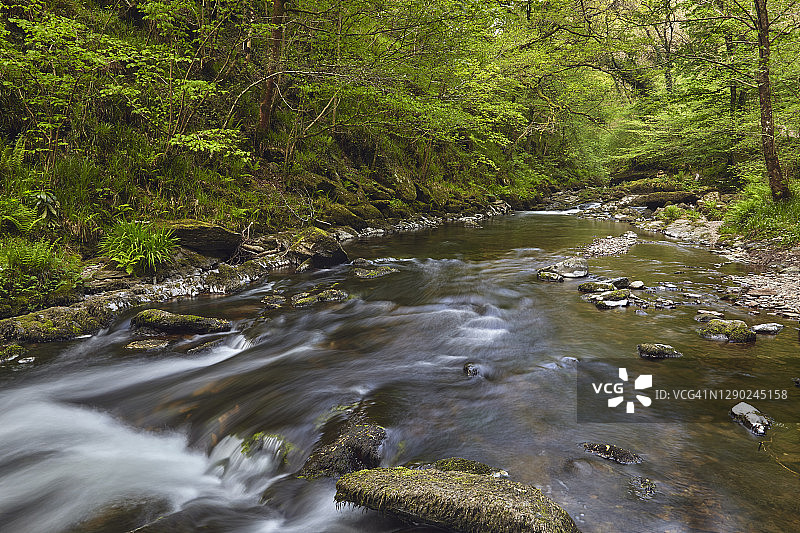深谷中古老林地的秋季河流图片素材