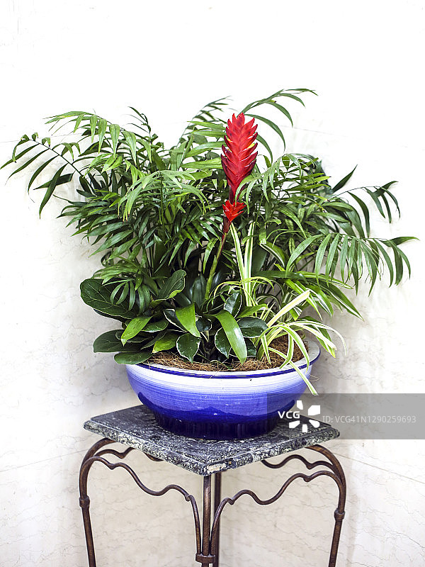 美国蓝图片素材