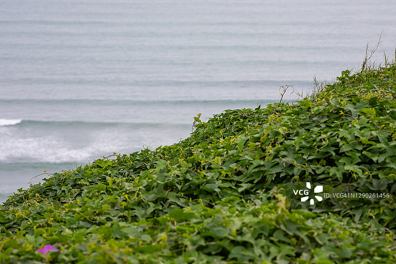 秘鲁利马冲浪图片素材