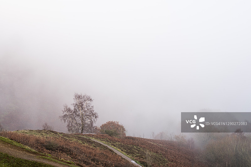 云雾笼罩山坡，寒冬时节树木在雾中显现，英国马尔文丘陵图片素材