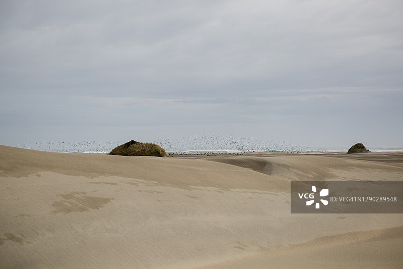 告别沙嘴的沙丘图片素材