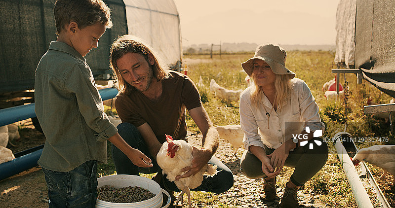 不承担责任的农场孩子无法长大图片素材