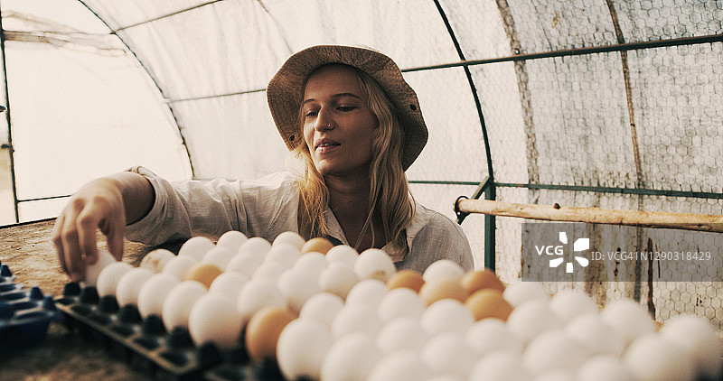 每个鸡蛋都有它的位置图片素材