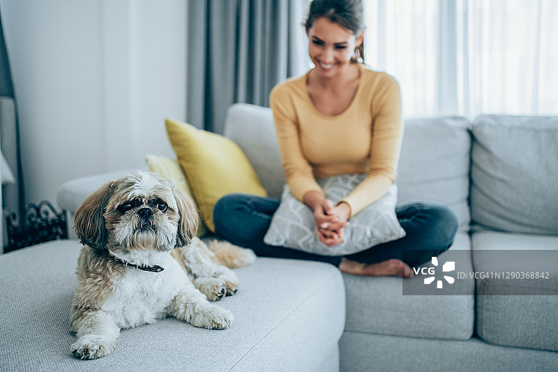 年轻女人和宠物在家放松图片素材