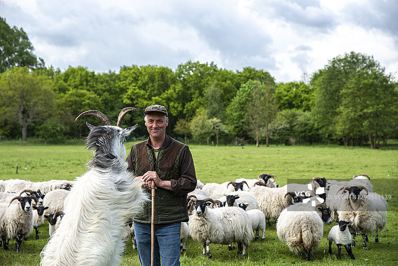 倚靠牧杖的牧羊人图片素材