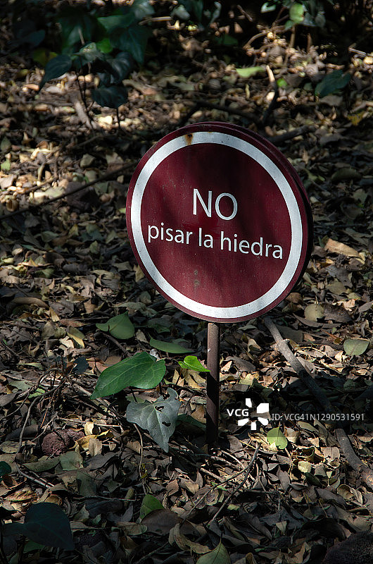 公园提示牌：请勿践踏常春藤图片素材