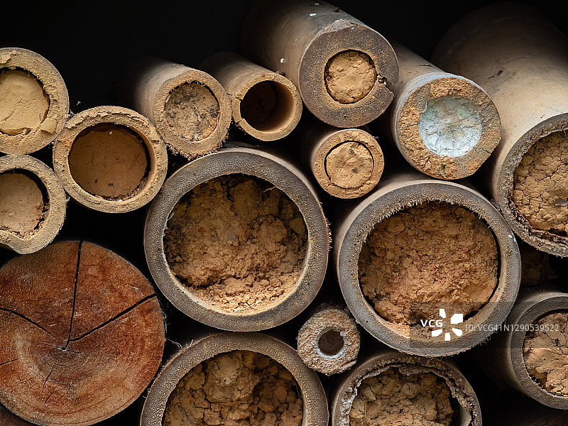 显示树皮的不同尺寸的堆叠原木图片素材