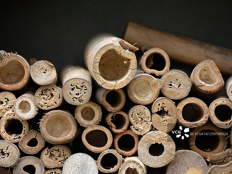 显示树皮的不同尺寸的堆叠原木图片素材