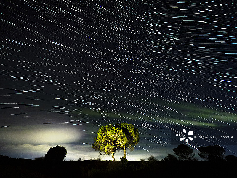 山景：满月照亮云朵下的孤树图片素材