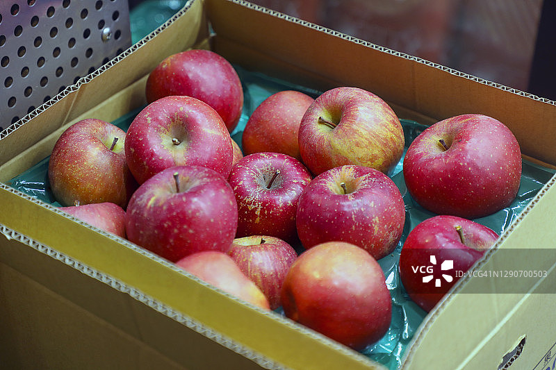 红苹果图片素材