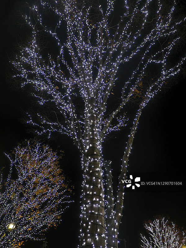 大井町的圣诞节灯饰图片素材