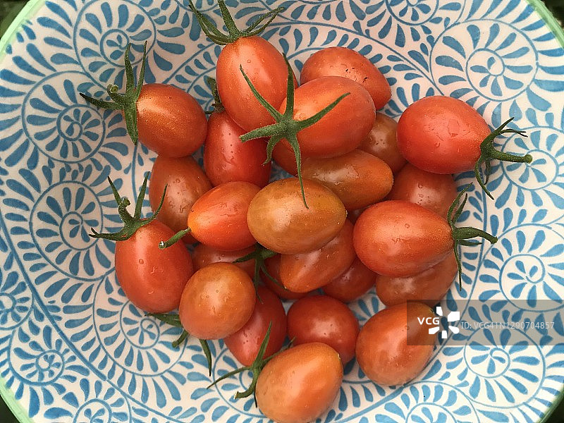 蓝色和白色图案碗中的红色葡萄番茄图片素材