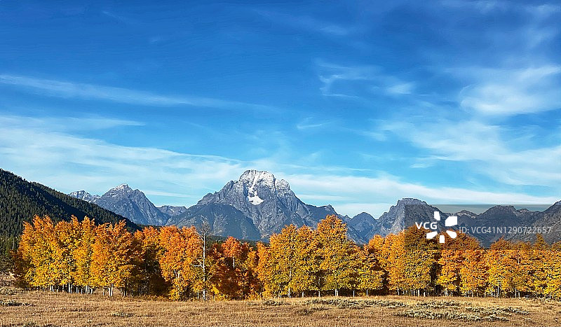 山谷中色彩斑斓的树木图片素材