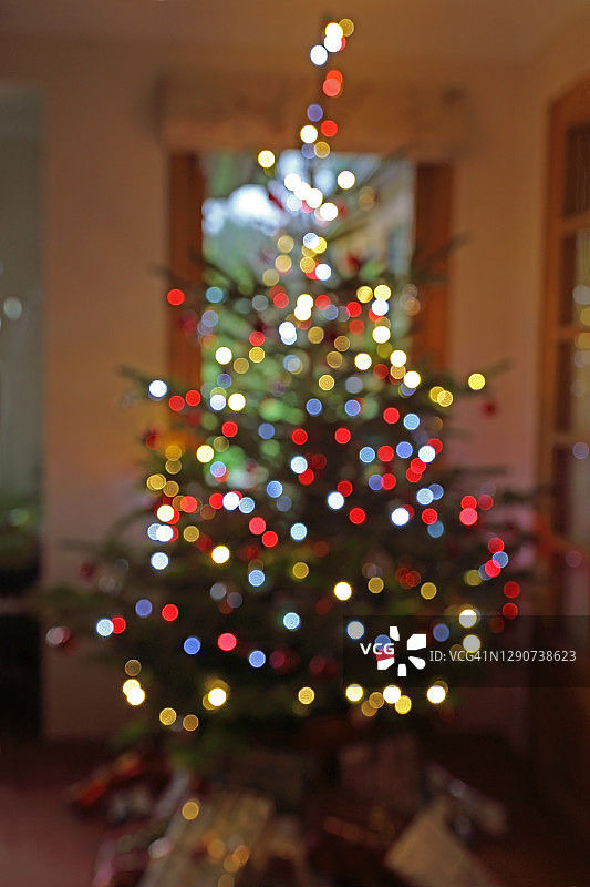 室内彩色灯光下的圣诞树图片素材