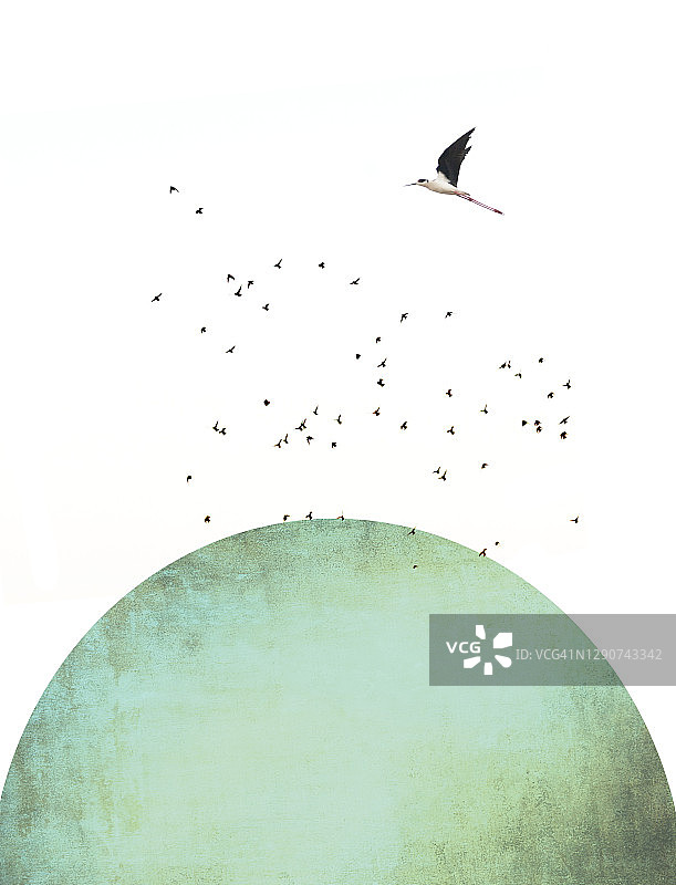 鸟儿飞翔的球体摄影插画图片素材