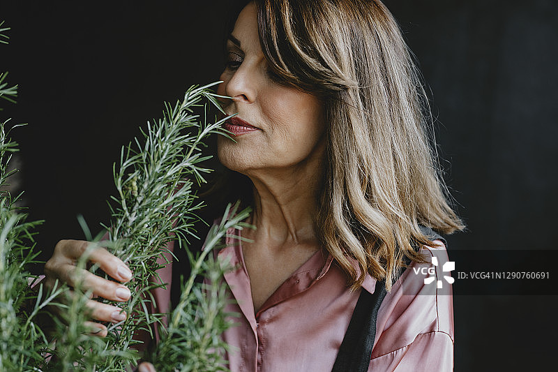 年长的植物学家闻着自家种植的迷迭香的香味图片素材