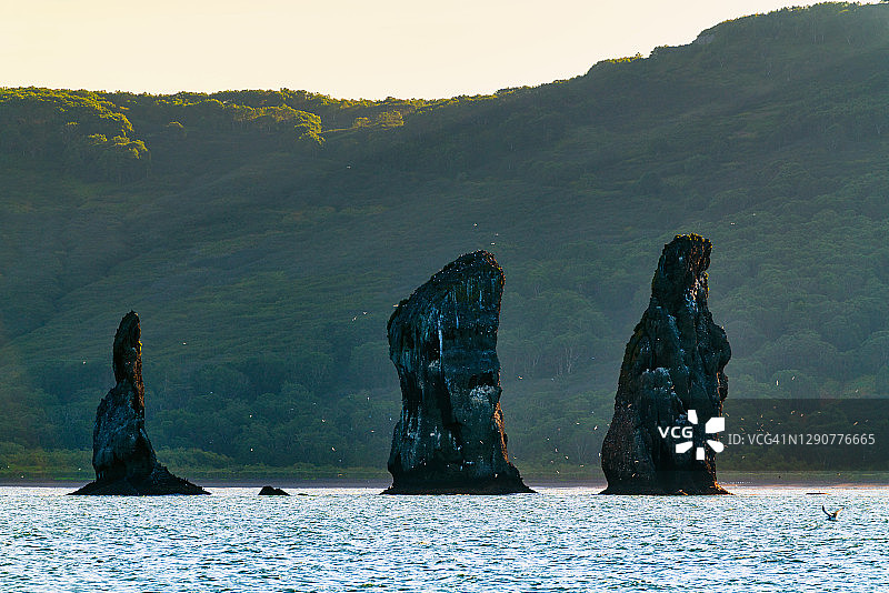 堪察加半岛海景：太平洋上的三兄弟岩石图片素材