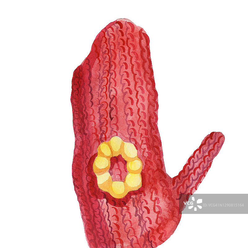 手绘水彩圣诞创意人物图片素材