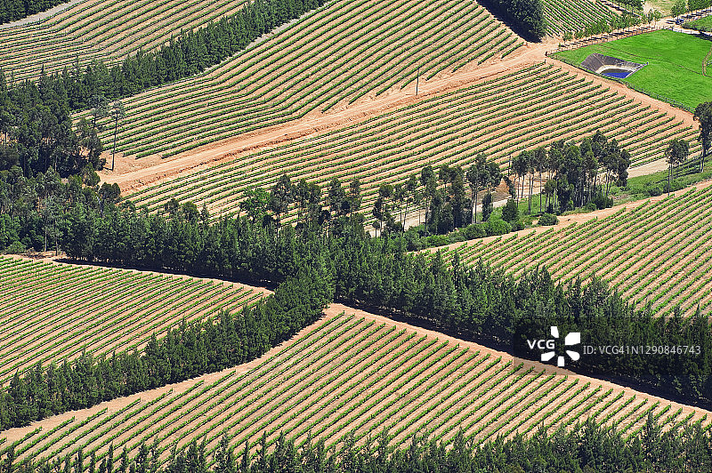 惠灵顿附近的葡萄酒产区，南非西开普省图片素材