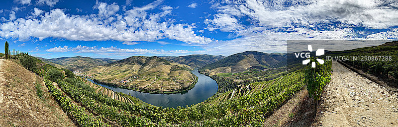 葡萄牙杜罗河谷葡萄园全景图片素材