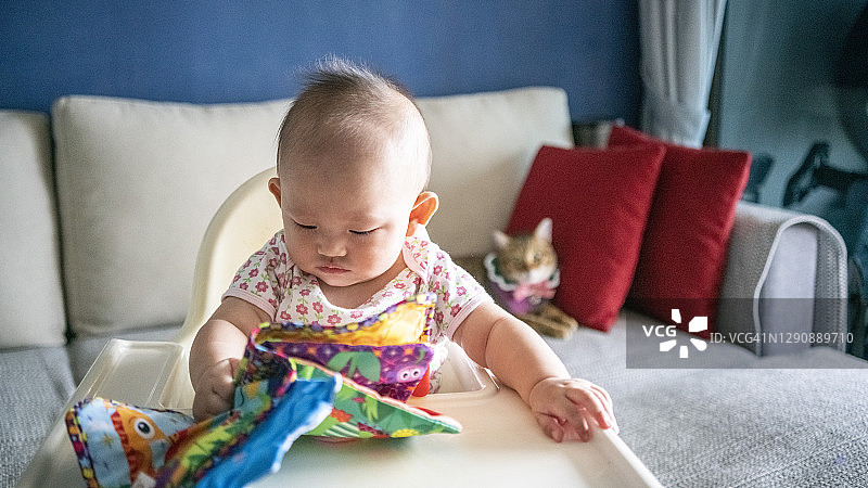 女宝宝与猫图片素材