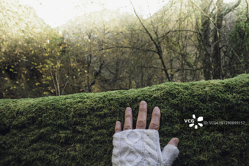 与自然的连接图片素材