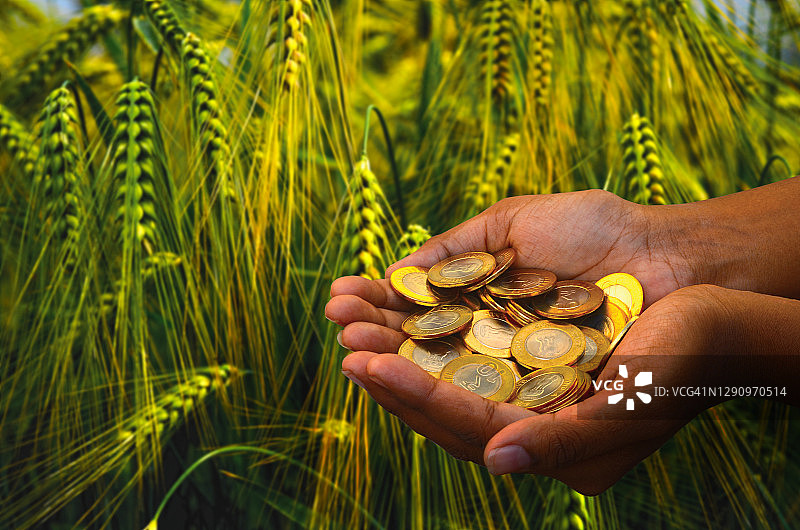 农民手中的硬币-农业农场背景图片素材