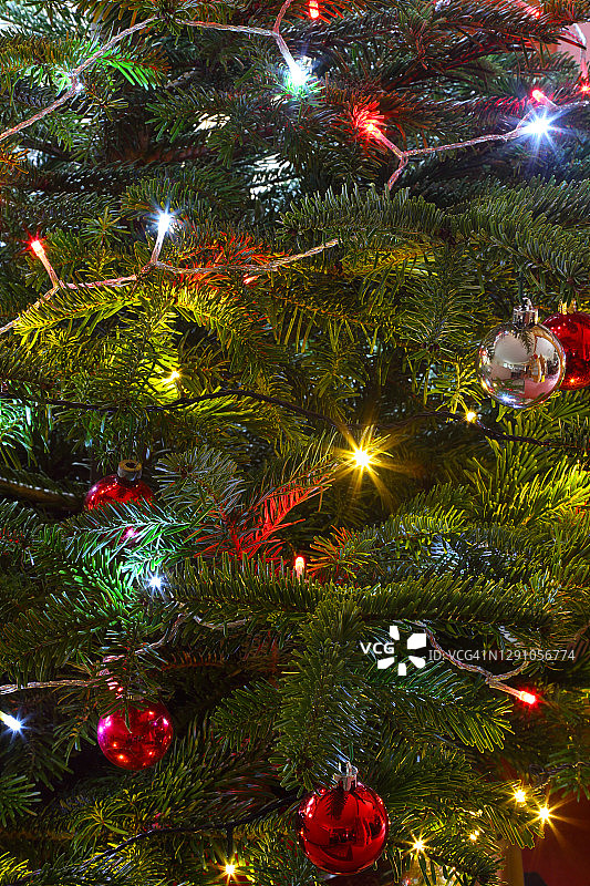 蓝云杉树上的圣诞彩灯和彩球特写图片素材