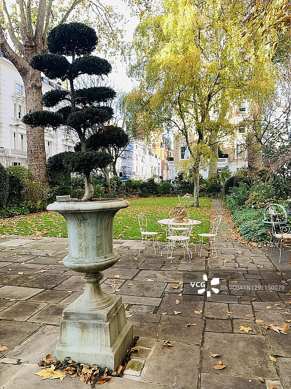 石制花瓶中的装饰树，花园中带有秋叶的铁椅和桌子图片素材