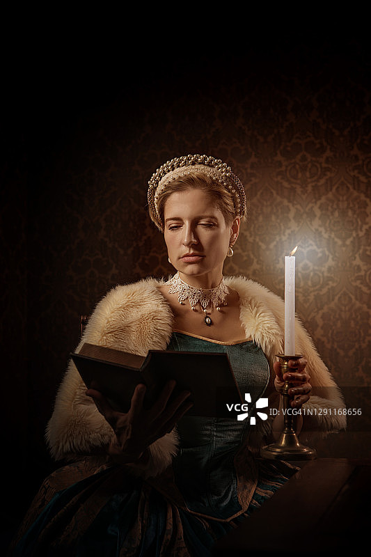 美丽的荷兰贵妇人历史肖像图片素材