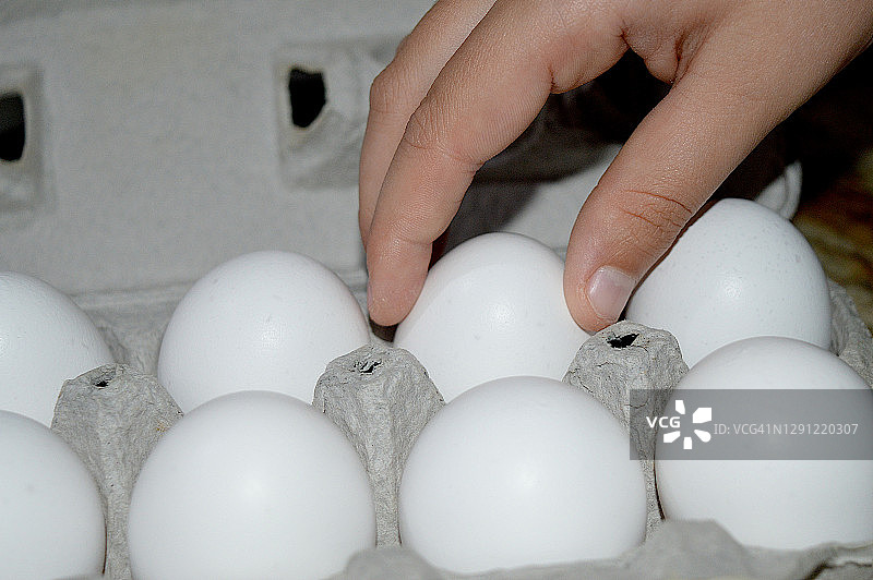 新鲜的鸡蛋图片素材