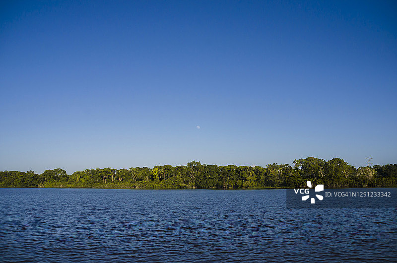 美丽的奥里诺科河与热带雨林图片素材