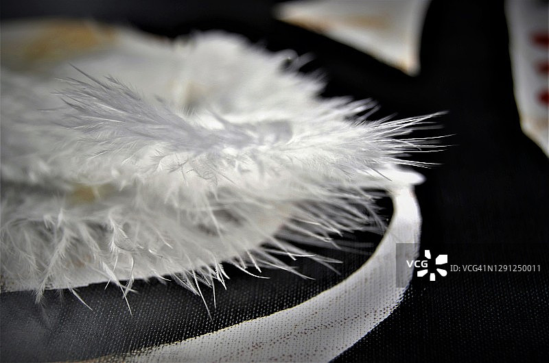 彩色背景上的白色羽毛图片素材