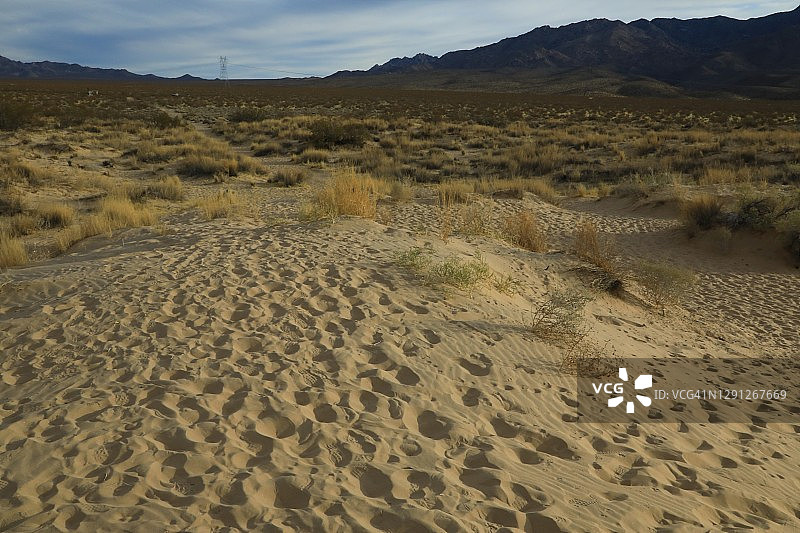 莫哈韦国家保护区沙丘，加利福尼亚州图片素材