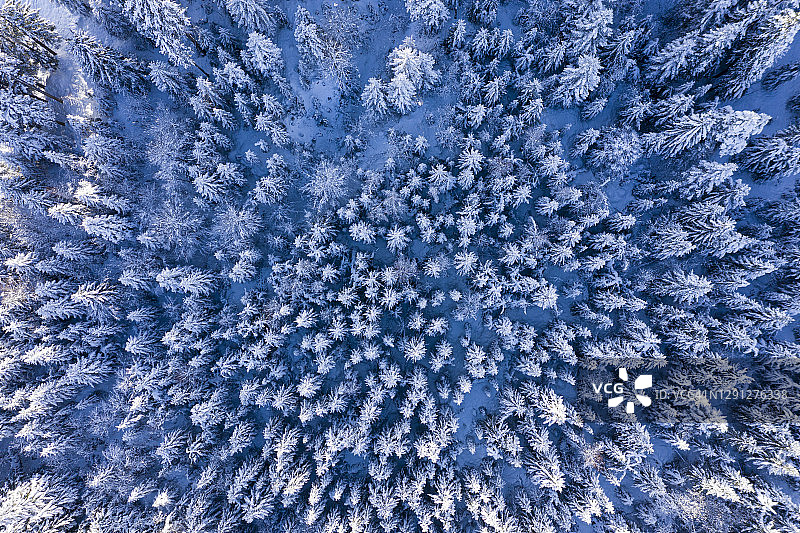冰冻森林航拍图片素材