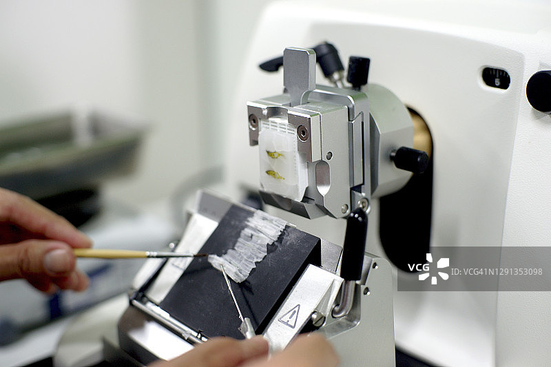 用轮转式切片机切割组织切片图片素材