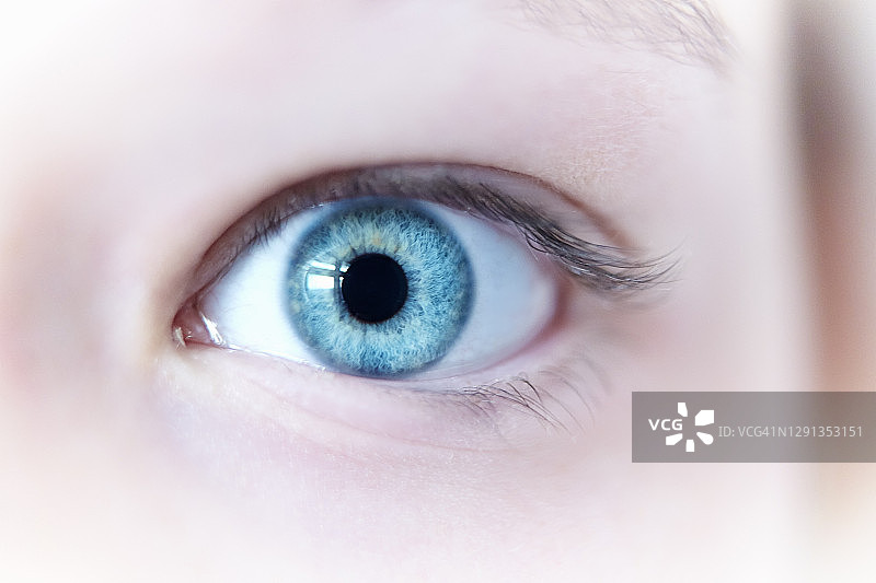 女性眼睛插图图片素材