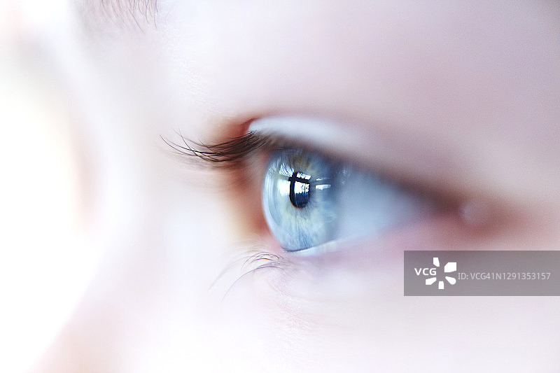 女性眼睛插图图片素材