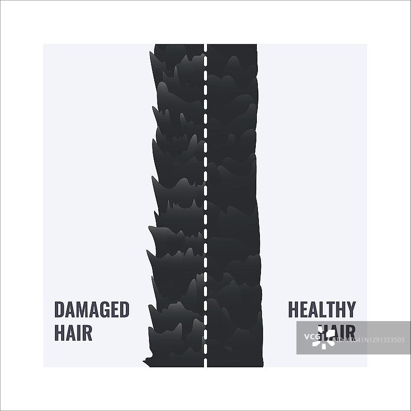 受损发质与健康发质概念图图片素材