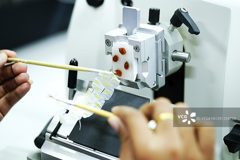 用轮转式切片机切割组织切片图片素材