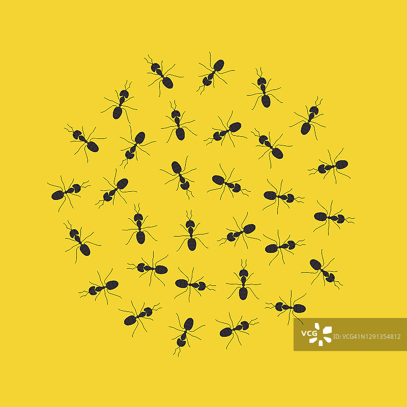 蚂蚁，插画图片素材