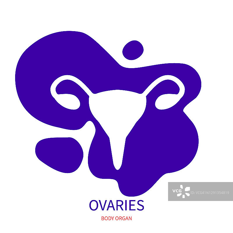 女性生殖系统插图图片素材