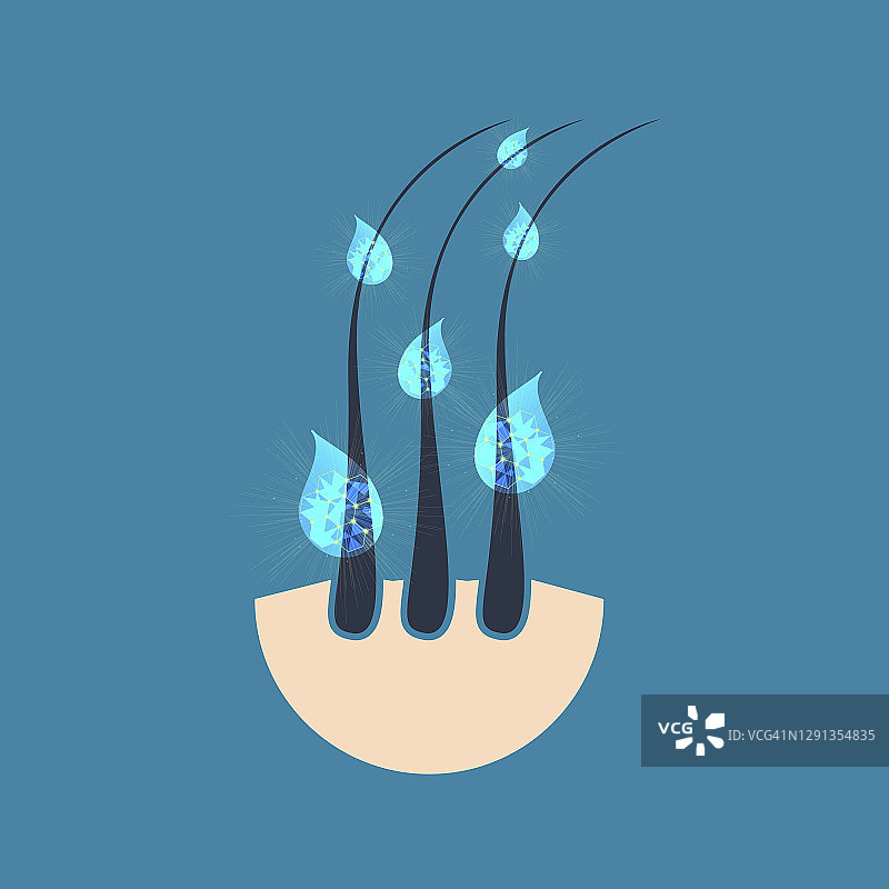 头发护理概念插图图片素材