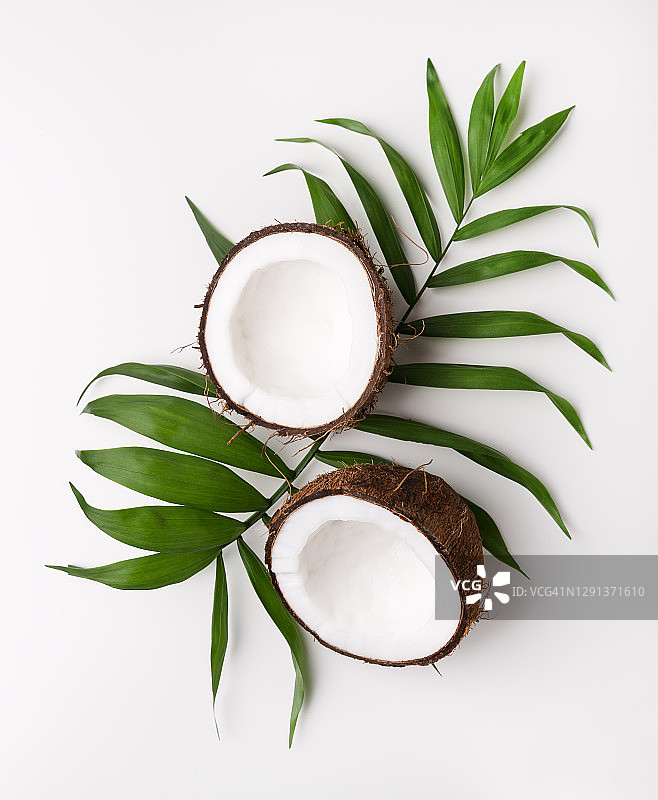 白色背景上的椰子图片素材